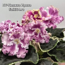 ПТ-Княжна Ирина (Пугачева)
